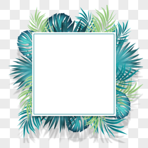 夏季热带棕榈叶方形边框图片