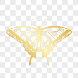 金色镂空蝴蝶线稿图片