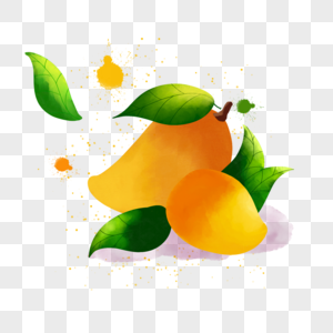 夏季水果水彩芒果图片