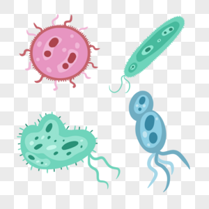 紫色的可爱微生物图片