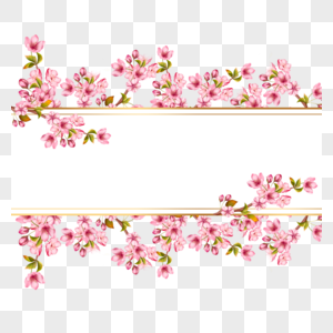 美丽樱花春季盛开枝叶边框图片