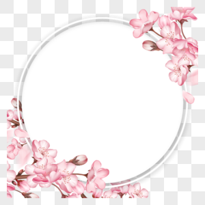 树枝春天圆形樱花边框图片
