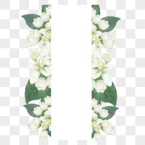 茉莉花边框绿色植物水彩花卉图片