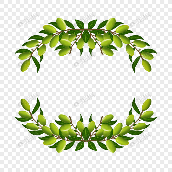 可爱绿色叶子奥运会橄榄枝花卉边框图片
