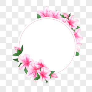 水彩粉色杜鹃花卉圆形线条边框图片