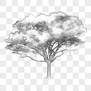 黑白灰素描线条树木图片