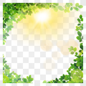 热带光效树叶夏季边框图片