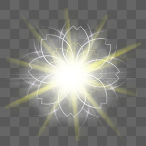 黄色发光光效花卉样式图片