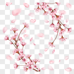 春季3d光效粉色樱花花瓣飘落图片