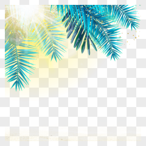 阳光照射下的棕榈叶边框图片