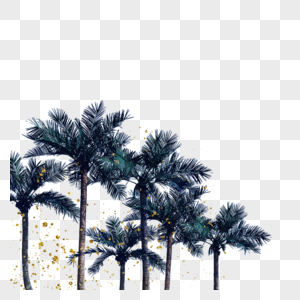 夏季椰树棕榈树元素图片