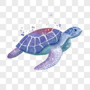 海龟水下动物水彩风格高清图片