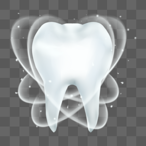 牙齿美白效果牙齿模型图片