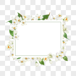 茉莉花边框白色水彩花卉高清图片