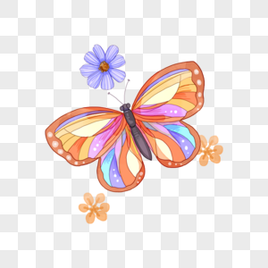 彩色蝴蝶和花朵图片