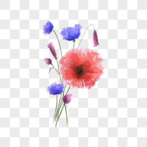 湿红花免抠元素 水彩花植物花卉素材 Png图片下载 摄图网
