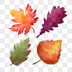 水彩秋季树叶组合红色图片