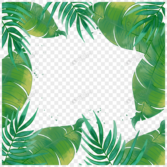 夏季热带水彩椰树叶子边框图片