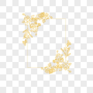 金线花卉婚礼长方形花藤边框图片