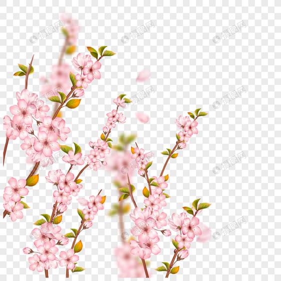 优雅的虚化光效樱花枝条图片