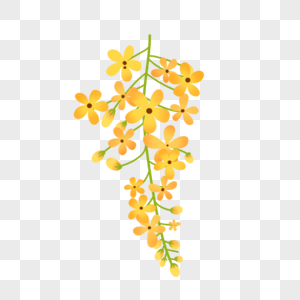 枝条上盛开的黄色花朵图片