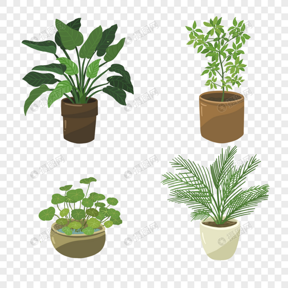 室内植物绿色盆栽图片