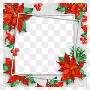 盛开红色花朵灰色方形圣诞冬季植物边框图片