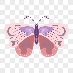 抽象波西米亚风格粉色蝴蝶图片