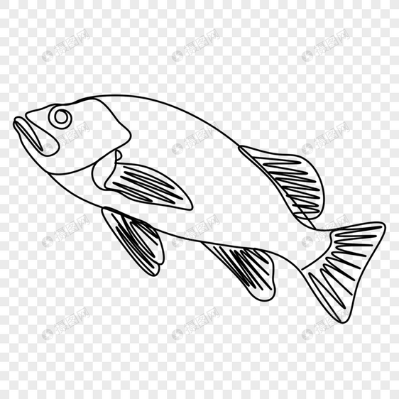 可爱线条画海洋动物鱼图片