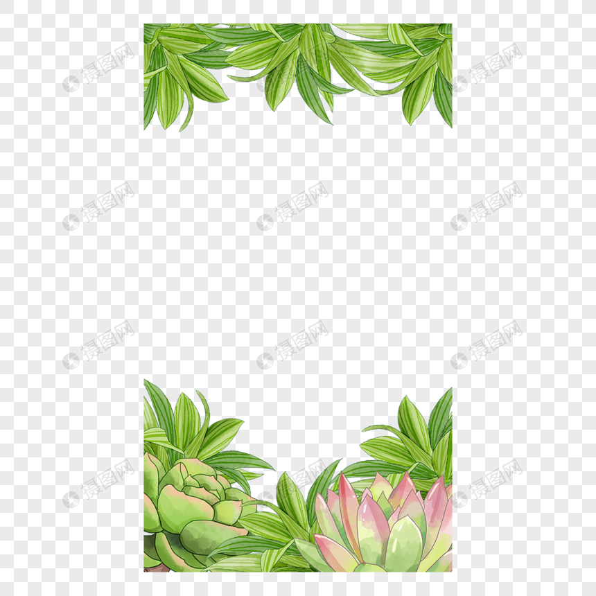 水彩植物仙人掌故事边框绿叶图片