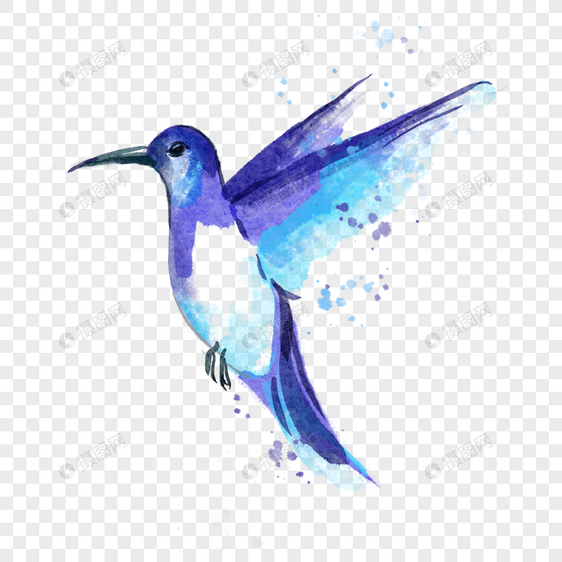 蓝紫色的水彩蜂鸟图片