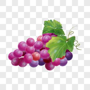 一串红色水彩水果食物葡萄图片