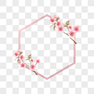 可爱粉色六边形桃花花卉边框高清图片