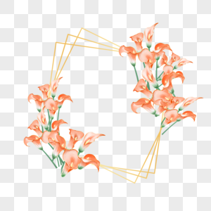 水彩马蹄莲花卉婚礼边框图片