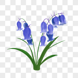蓝色婚礼水彩蓝铃花植物图片