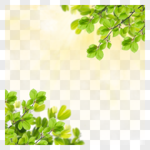 树叶光效热带夏季边框图片