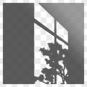 四方形树木窗口叠加阴影高清图片