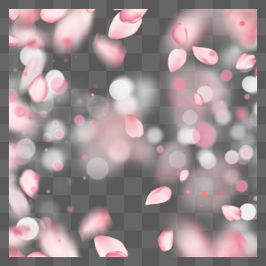 粉色樱花花瓣光效光斑图片