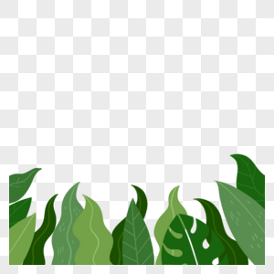 热带树叶芭蕉叶龟背竹边框图片