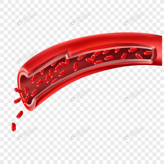 人体血管医学插图红色图片