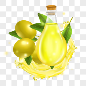 橄榄油橄榄树叶透明图片