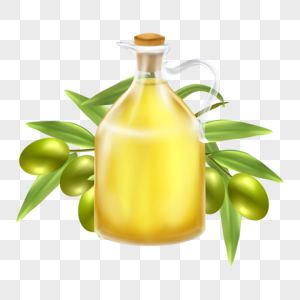 橄榄油橄榄树叶健康图片
