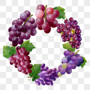 水果葡萄水彩边框图片