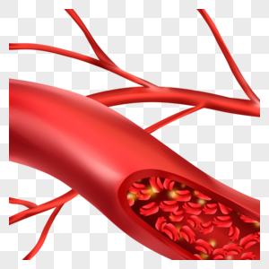 人体血管医学血细胞插图图片