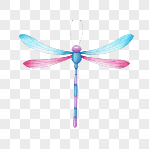 昆虫蜻蜓粉色和蓝色水彩图片