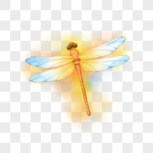 昆虫橙色蜻蜓水彩图片