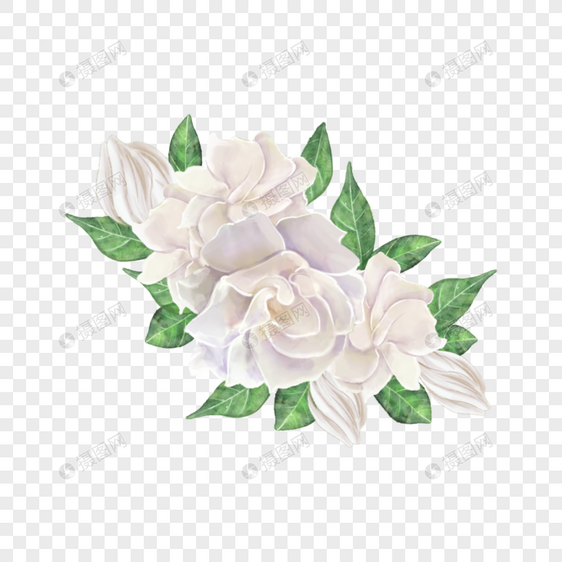 白色栀子花花簇水彩花卉图片
