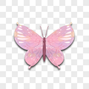 彩色蝴蝶抽象翅膀图片