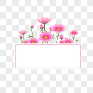 水彩格桑花卉边框图片