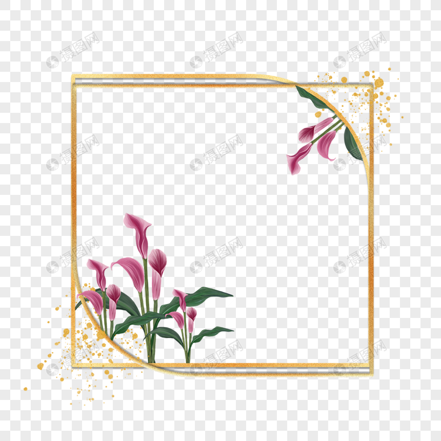 婚礼马蹄莲花卉水彩边框图片